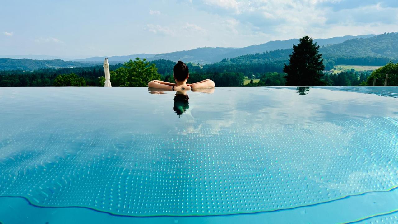 Am Wildbachberg - Luxus Ferienhaeuser Mit Infinitypool, Privatsauna Und Weinkeller Deutschlandsberg Exterior foto